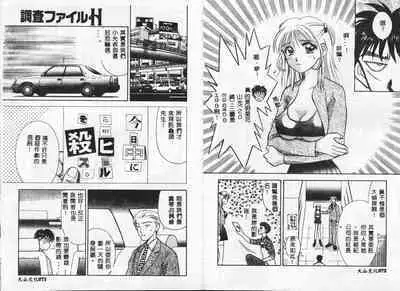 Chousa File H - Investigation File