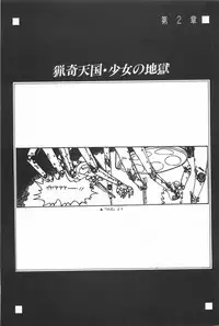 [Fusion Product] Bishoujo Shoukougun Lolita syndrome