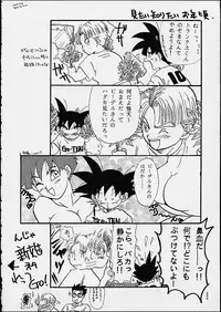 (C49) [Chirigami Goya / Fusuma Goten] Z (Dragonball)