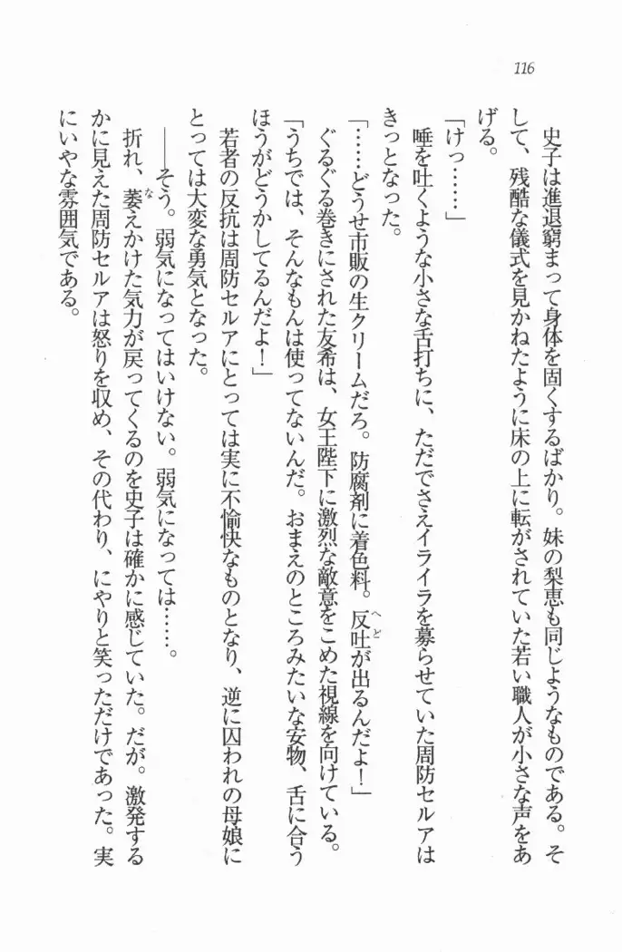 メイド喫茶 猫の隠れ家