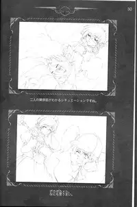 [CARNELIAN] CARNELIAN vol.3 D~Sono Keshiki no Mukou Gawa~