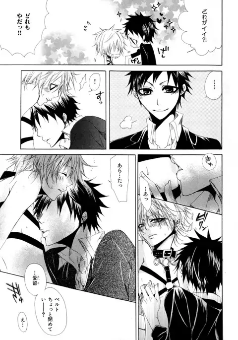 b-BOY Phoenix Vol.10 Odougu Tokushuu