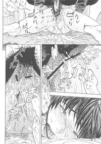 [From Japan] FYC R11Y (Various)