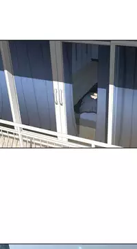 Ghost Love Ch.1-24 (English) (YoManga) (Ongoing)