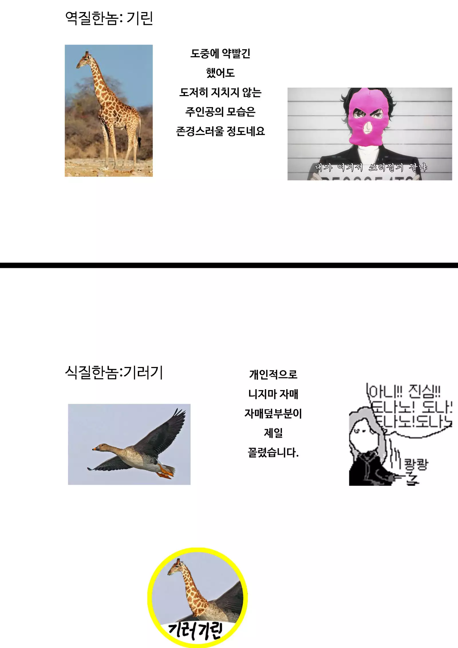 LET US START THE SEX