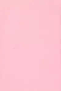 [Makoto Fujisaki] Dark Wirbel Vol 2