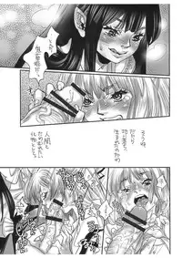 (C74) [Gunka (Torino Munenik)] Amaku Kagayaku Beniiro no (Touhou Project)