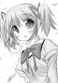 [STUDIO Huan (Raidon)] New MadoHom! (Puella Magi Madoka Magica)