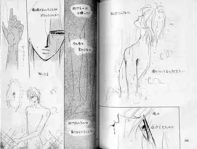 (C37) [Doll (Ozaki Minami)] Inazuma (Captain Tsubasa)