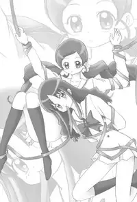 (C78) [Kurukurumaru (Kurumaru)] Watashi Tachitte H Desu? (HeartCatch PreCure!)