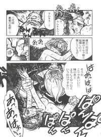 [Ogata Satomi] Kyouakuteki Shidou Selection (Various)