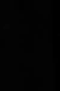 [Bisuketti / Kiki] TRICK DIVE [Chinese]