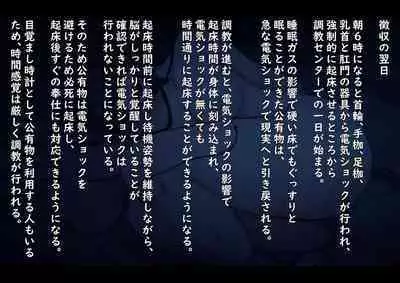 Public Property Sex Slave Girl Vol.02