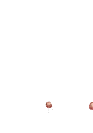 Yuuka-Chirabatta Daiyoukai no Kakera-