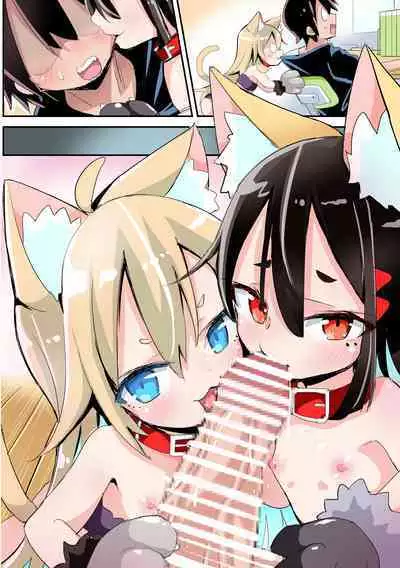 うちの子ペット飼育日記①