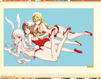 Eiyuu＊Senki GOLD Visual Fanbook