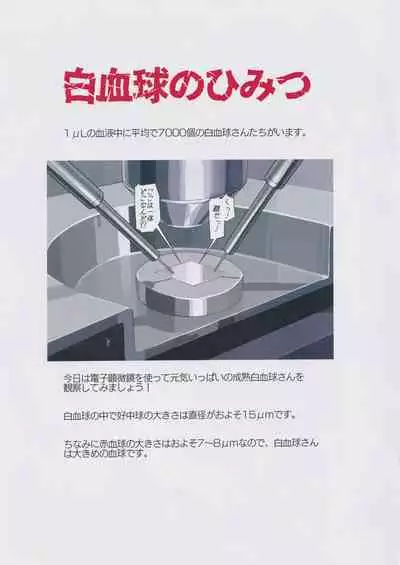 Hakkekkyu no Himitsu