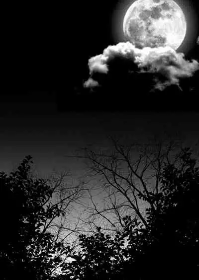 [Hiyo] Fugutaiten (Touken Ranbu)