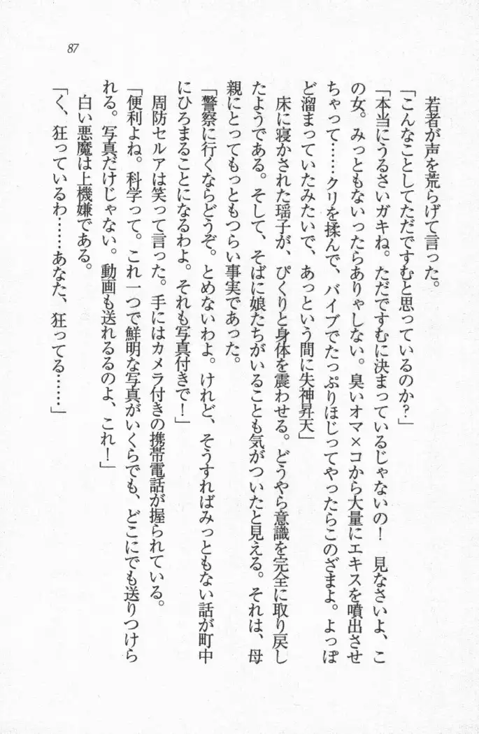 メイド喫茶 猫の隠れ家