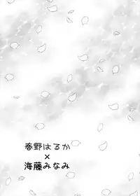 [MirrorWorld (Mira)] Himegoto (Go! Princess PreCure) [Digital]