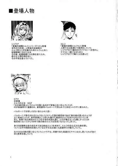 (C96) [Aodouhu (Neromashin)] Houjou no Reizoku Elf 6 ~Higyaku Yousei~ + Omake