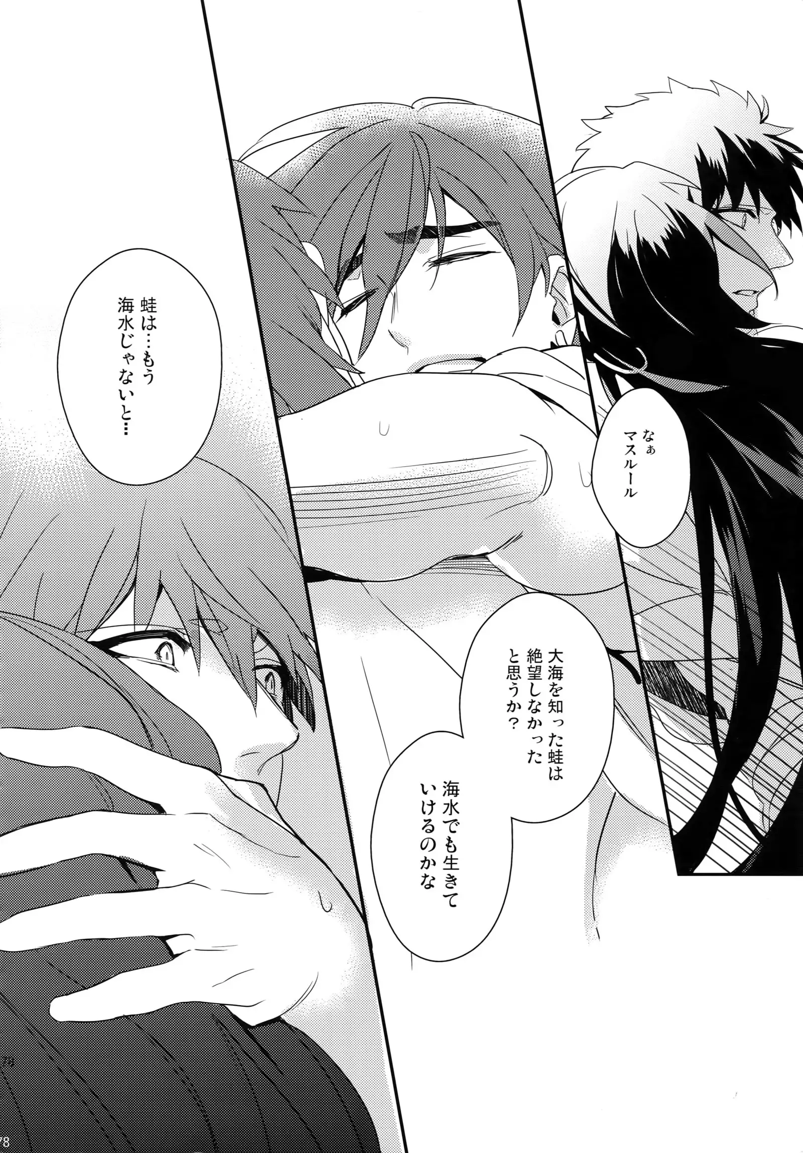 PureSlider. Sairoku 2011 - 2012