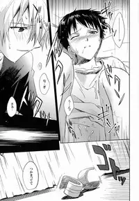 (C80) [Cassino (Magarikoji Lily)] LOCK'N' UP! (Neon Genesis Evangelion)