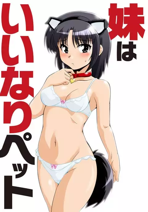 Shirouto Toukou Taiken Joshikousei Roshutsu Inkou Densha