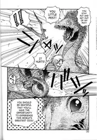 [Yui Toshiki] Princess Quest Saga [English] [SaHa]