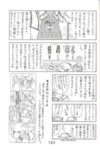 [BLACK DOG (Kuroinu Juu)] Star Platinum (Bishoujo Senshi Sailor Moon)