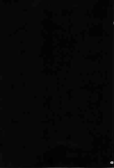 TS? NTR? It ’s fine!