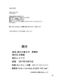 (C81) [Tenguren (Nario)] Boketsu o Horu 10 Junbigou [Chinese] [朱见深个人汉化]