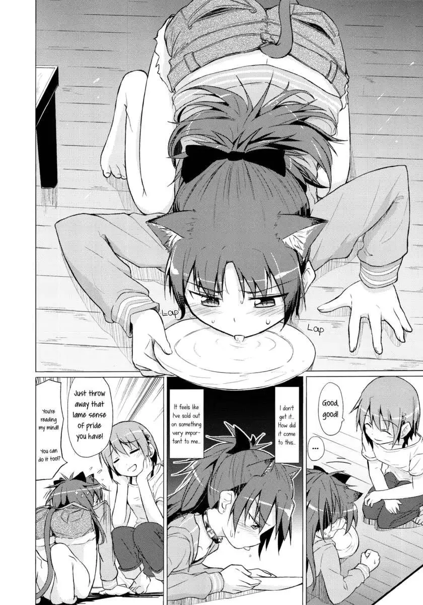 My Companion Became a Cat