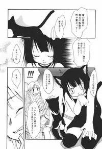 [Honda Aru] Honey Punch