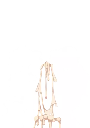 Yuuka-Chirabatta Daiyoukai no Kakera-