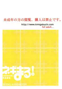 (CR37) [Studio KIMIGABUCHI (Kimimaru)] Negimaru! 3 (Mahou Sensei Negima!)