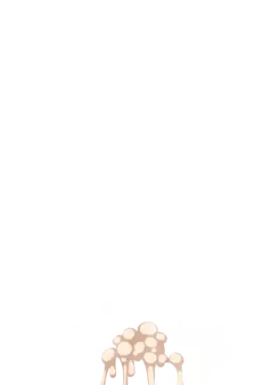 Yuuka-Chirabatta Daiyoukai no Kakera-