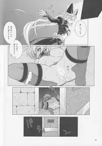 (C76) [VENOM (Mori Marimo, ZIN)] BtoC (Queen's Blade)