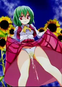 (C74) [Usotsukiya (Oouso)] Touhou Nyounyoumu (Touhou Project)