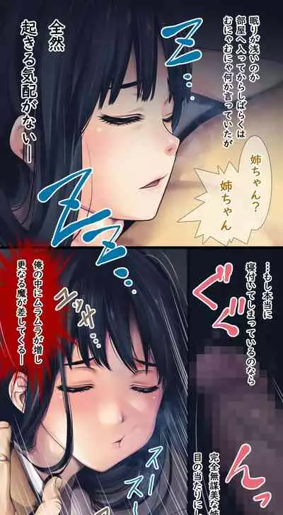 Komarigao na Bijin no Ane o Osotte Yaritai Houdai Yatta Hanashi