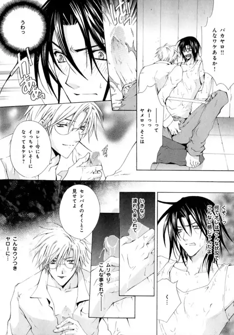 b-BOY Phoenix Vol.5 Bishonure Tokushuu