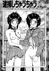 [Heaven's Unit] Fire!! Cracker 3 (You're Under Arrest, Sailor Moon)