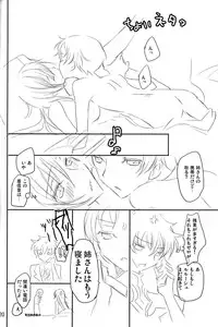 [Reflection (Panta)] Torikago no Naka no Himegimi (Code Geass)