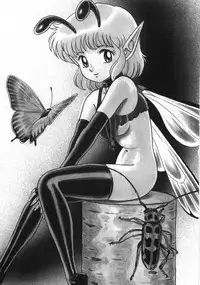 [Kondom] Bondage Fairies Zannin Shimai