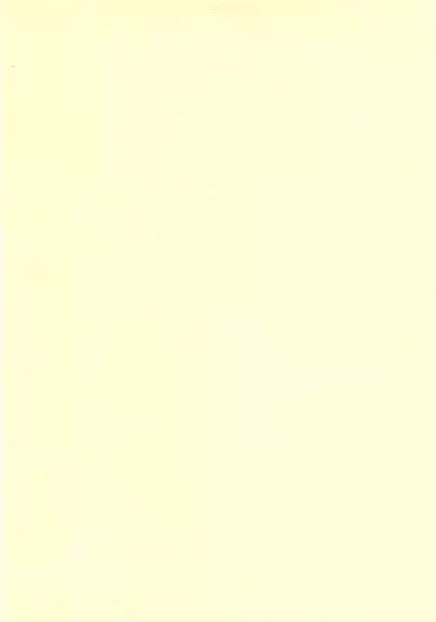 Nine to Five Lover Vol. 1