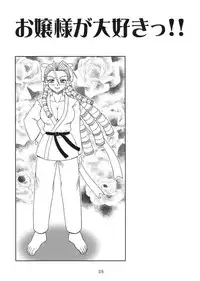 [HEAVEN'S UNIT] Ojousama ga Daisuki!! (Street Fighter)