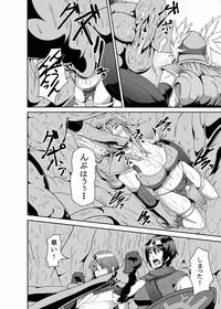 [Pollinosis (Shinkuu Tatsuya)] REDLEVEL3 (Dragon Quest III) [Digital]