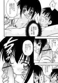 [yeahhhy tomii] Meconopsis