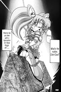 [Thirty Saver Street & Studio Z-Agnam] 2D Shooting (Sailor Moon) [English]