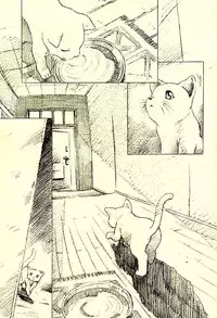 (CR31)[Henrei-kai (Kawarajima Koh)] Hotaru Ame (Bishoujo Senshi Sailor Moon)